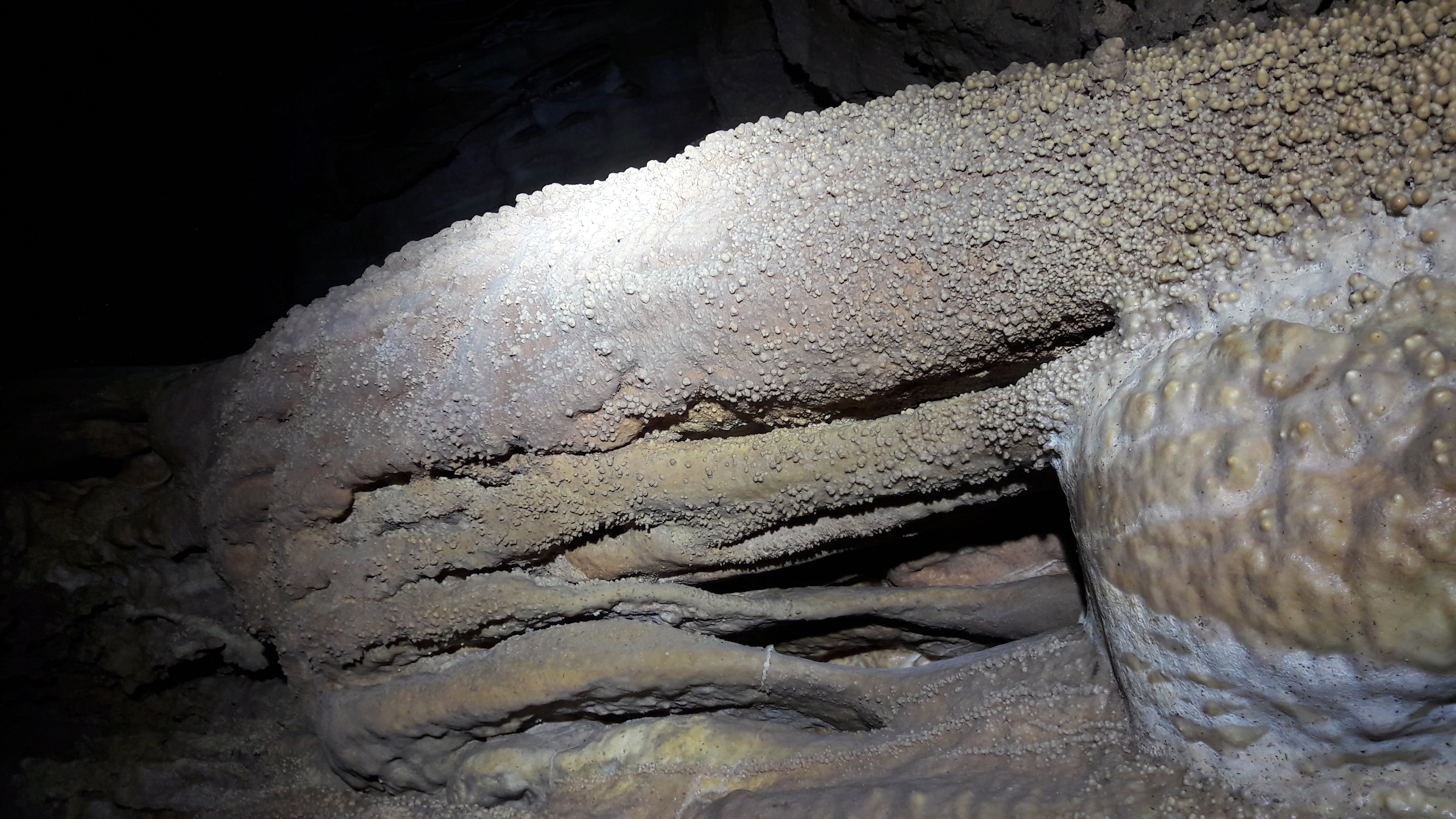 Pestera Comorilor - Image 3